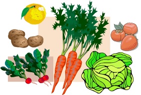 野菜日和イメージ